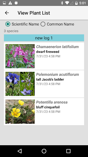 Yukon Wildflowers Screenshot 2