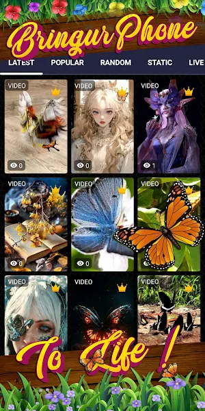 butterfly wallpaper Screenshot 1