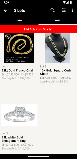 GSJ Auctions Screenshot 2