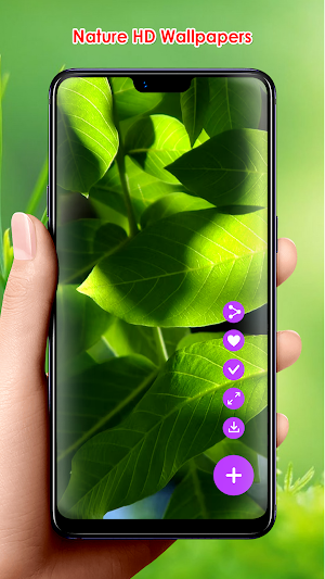 Nature HD Wallpapers Screenshot 1