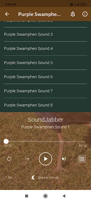 Purple Swamphen Sounds Screenshot 2