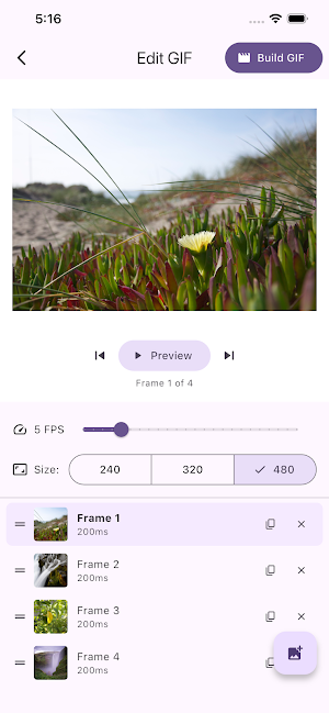 BuildAGif Screenshot 1