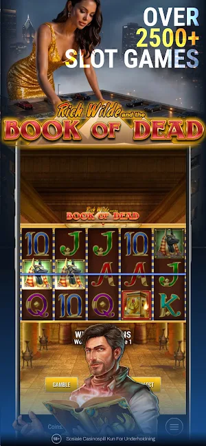 Slots Republic Screenshot 3
