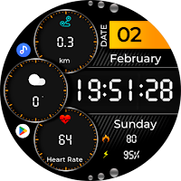 VISUM TECHNOLOGIES Watch Face