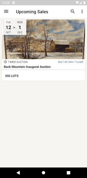 Back Mountain Auctions Screenshot 0