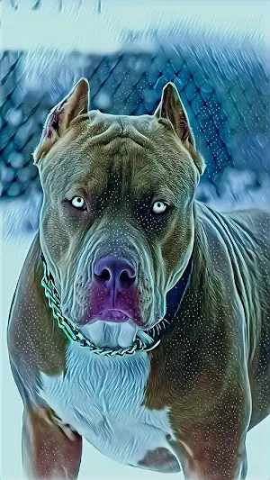 Pitbull Dog Wallpaper 4K Screenshot 3