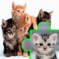 Cats Kittens Puzzles Jigsaws