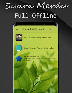 Suara Burung Jalak Kebo Gacor Mp3 Offline Screenshot 2