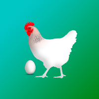 Chicken Breed