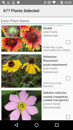 South Carolina Wildflowers Screenshot 2