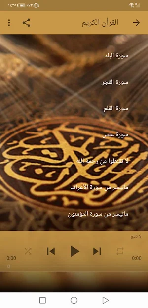 القران بصوت ابراهيم الطيب بدون Screenshot 3