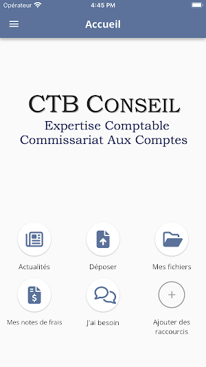 CTB CONSEIL Screenshot 1