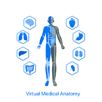 Virtual Medical Anatomy