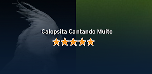 Calopsita Cantando Muito Screenshot 0