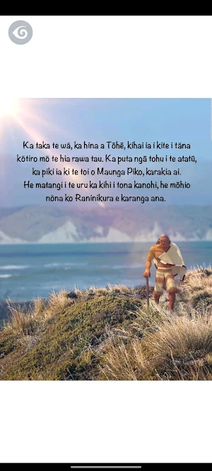 Te Haerenga ā Tōhē Screenshot 3