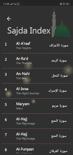 The Holy Qur'an Screenshot 3