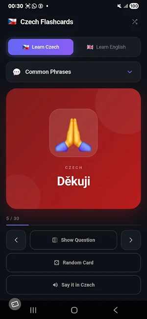 Learn Czech: Flashcards Screenshot 1