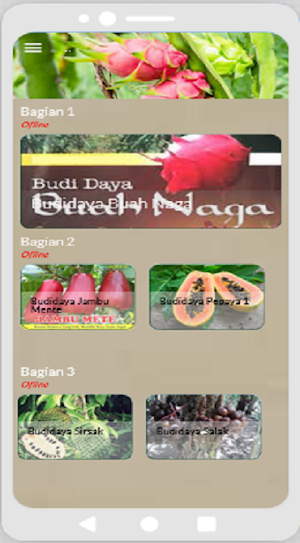 Budidaya Buah Naga Screenshot 1
