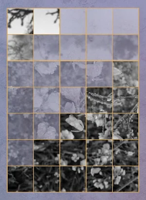 Spin Puzzle 2 Pro Screenshot 1