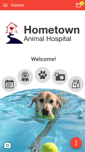 Hometown Animal Hospital Screenshot 0