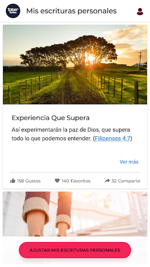 TaberTorinoApp Screenshot 2