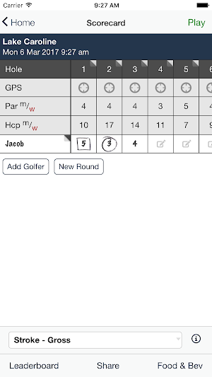 Randy Watkins Golf Screenshot 3