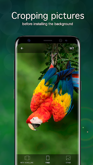 Parrot Wallpapers 4K Screenshot 2