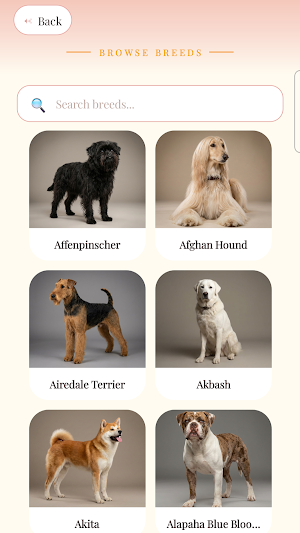 Daily Paws Screenshot 1