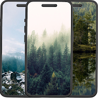 Forest Wallpapers