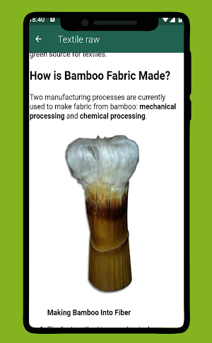 Bamboo Craft Ideas Screenshot 1