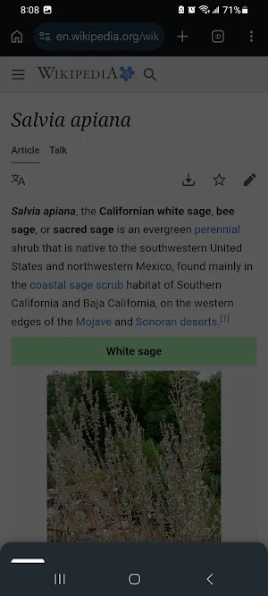 PageMage: Text Extractor Screenshot 0