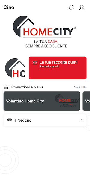 Home City Screenshot 0