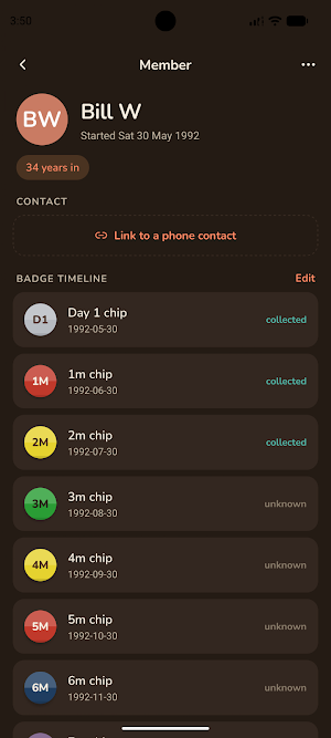 Meeting Chips Screenshot 3