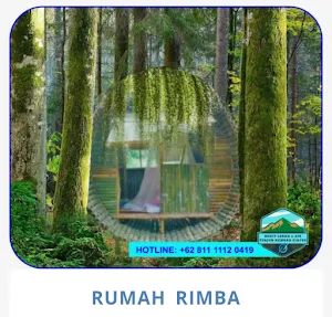 Bukit Lebah Ciater Screenshot 3