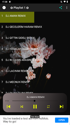 Azeri DJ Remix Mp3 Screenshot 1