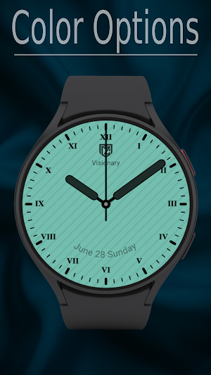 Classic Analog Watch Face Screenshot 2