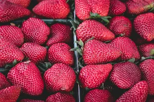 Strawberry Wallpapers Screenshot 1