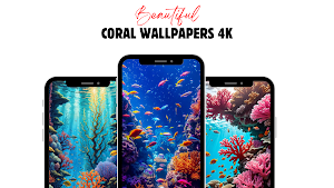 Coral Wallpaper HD 4K Screenshot 0