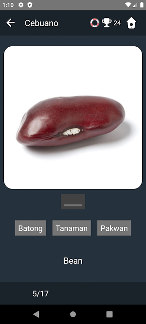 Cebuano Language Tests Screenshot 3