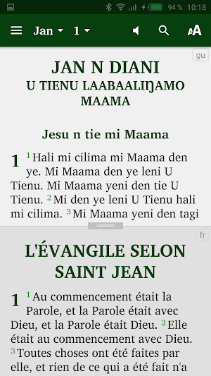 Gulmancema Bible Screenshot 3