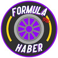 Formula Haber