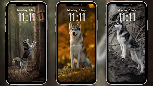 Husky Wallpapers 4K Screenshot 1