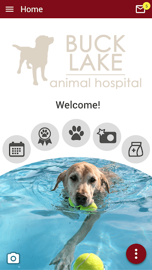 Buck Lake Animal Hospital Screenshot 0