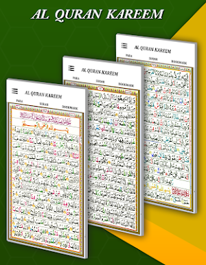 Al Quran - The Holy Quran 16 lines Screenshot 2