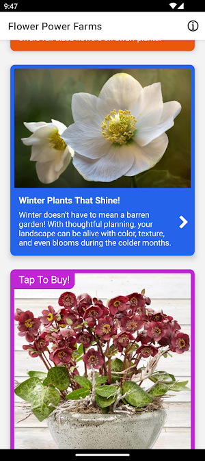 Flower Power Farm Screenshot 3
