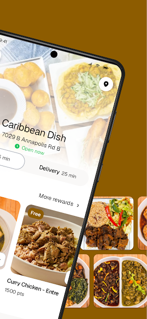 Caribbean Dish Screenshot 1