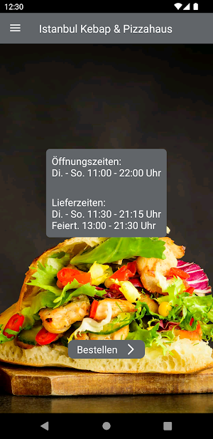 Istanbul Kebap & Pizzahaus Screenshot 0