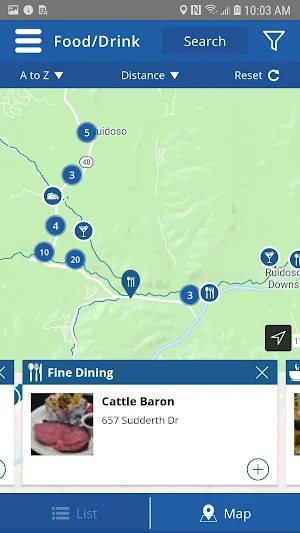 Discover Ruidoso Screenshot 2