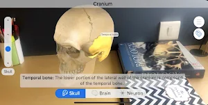 Brainapse Screenshot 1