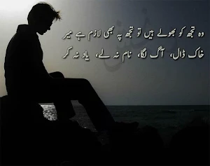 Bhool Urdu Shayari بھول اردو شاعری Screenshot 2